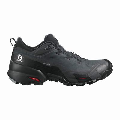 Férfi Salomon CROSS HIKE GORE-TEX Túracipő SA6593017 Sötét Szürke/Fekete